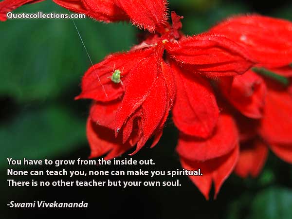 Swami Vivekananda Quotes1